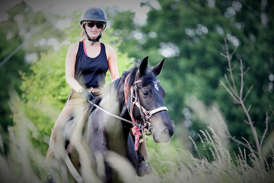 Theatersommer Netzeband