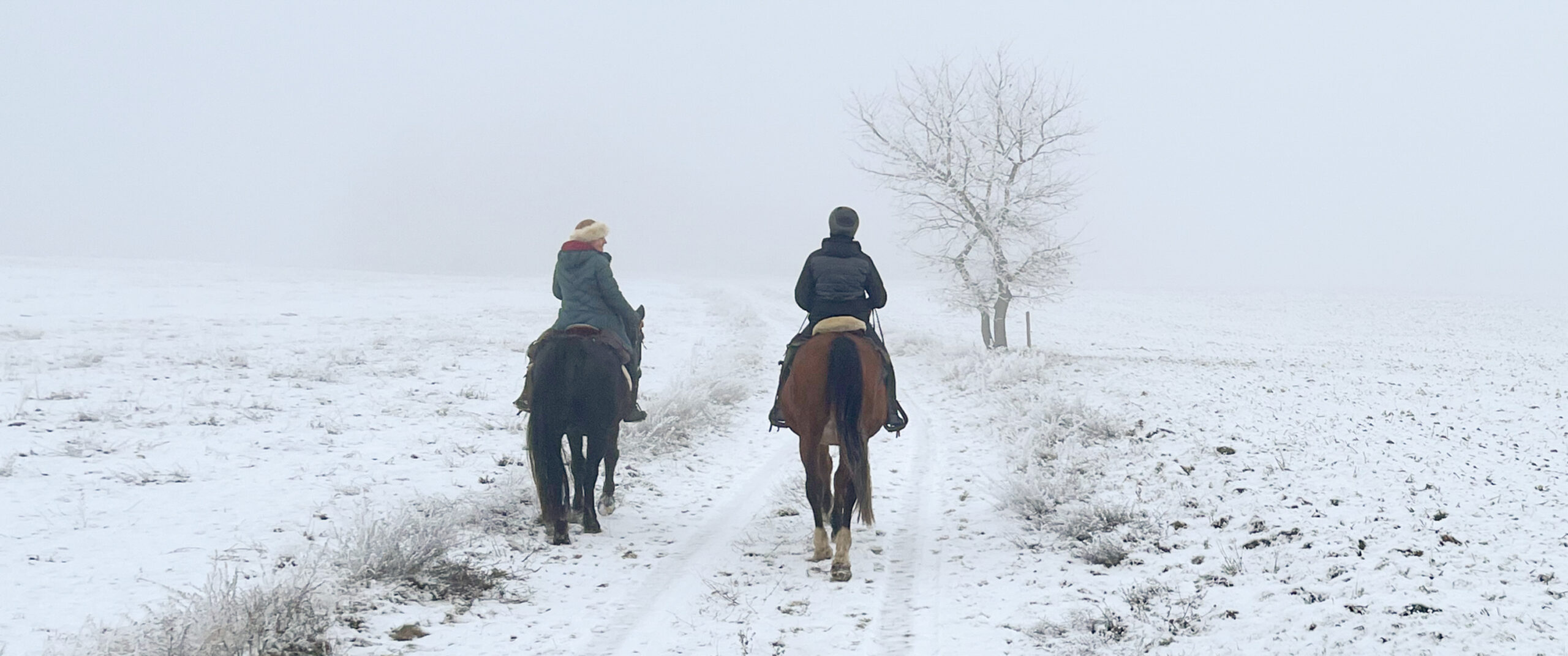 Winterritt – November