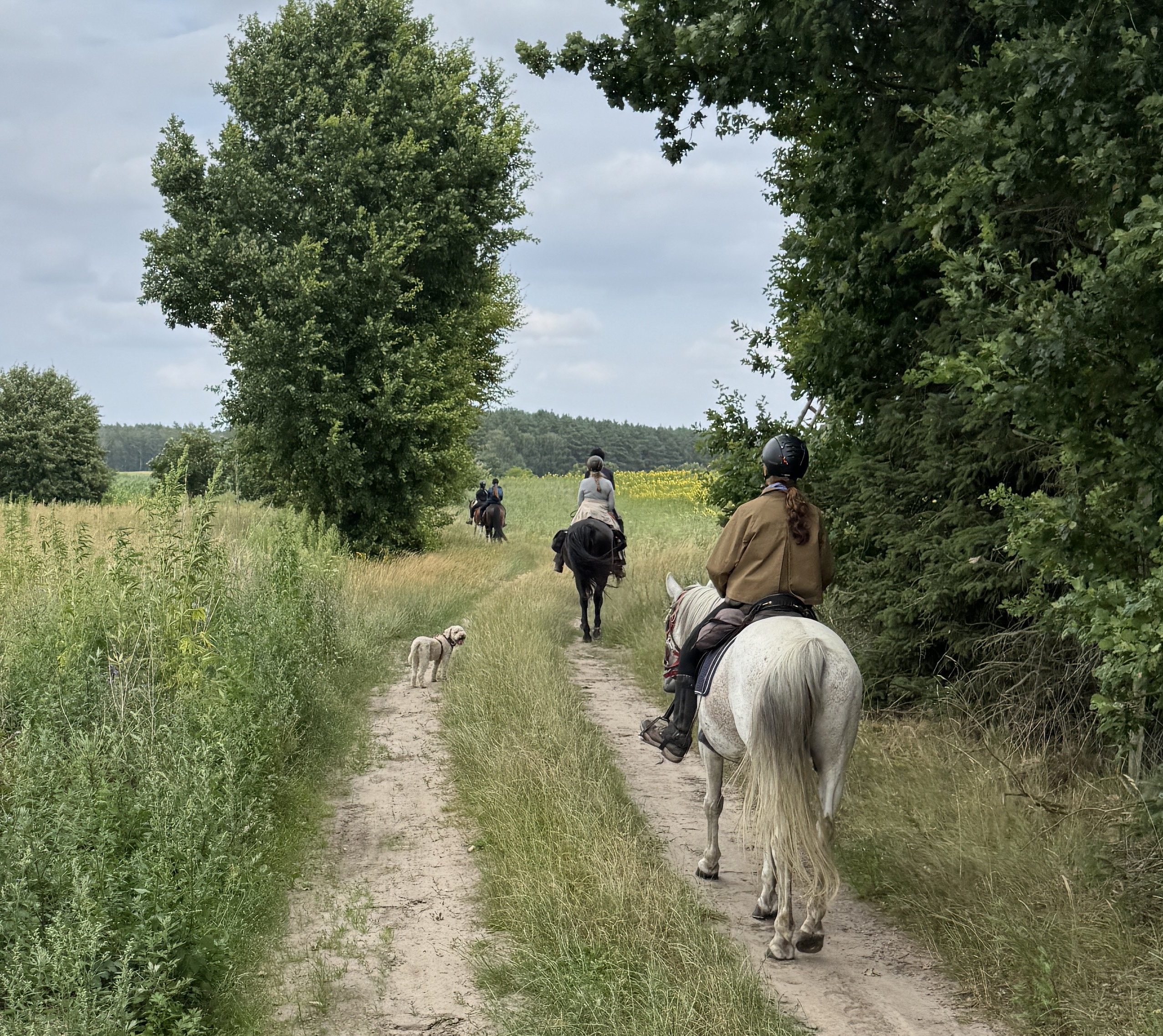 Zum Müritz Nationalpark