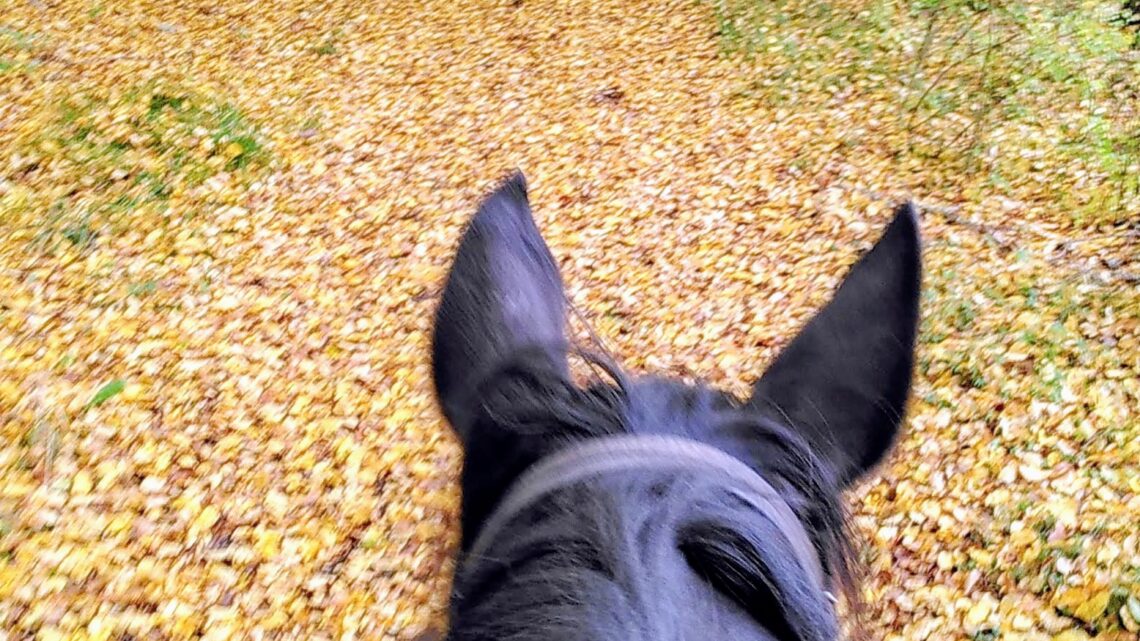 Goldener Oktober