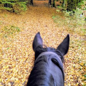 Goldener Oktober